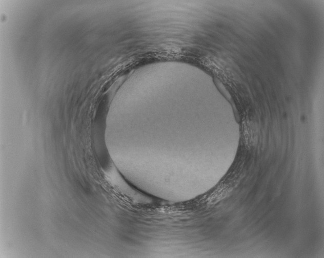 X0000058761057200510211652