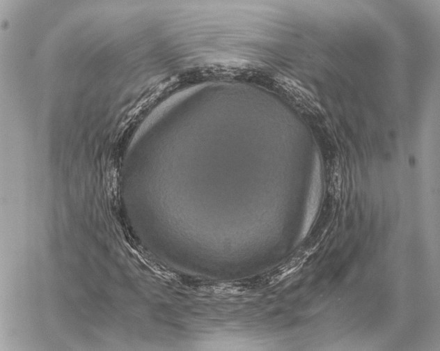 X0000058761061200510211652