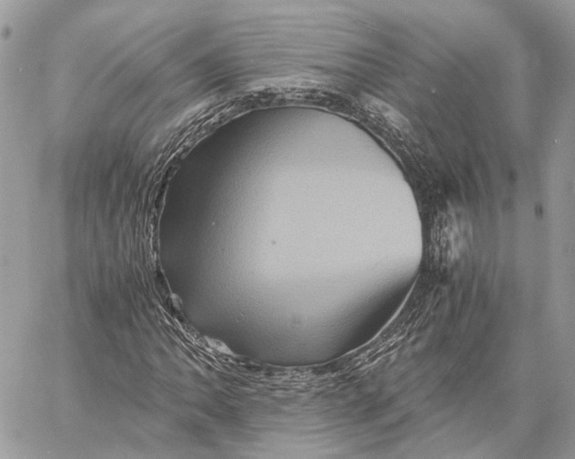 X0000058761062200510211652