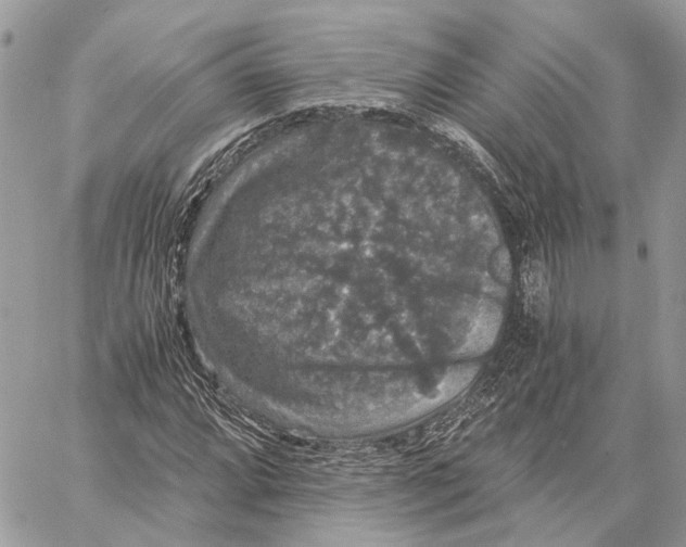 X0000058761064200510211652