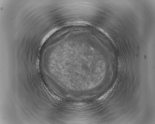 X0000058761066200510211652