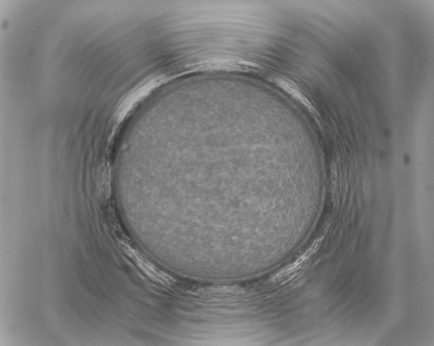 X0000058761067200510211652