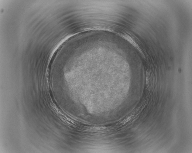 X0000058761068200510211652