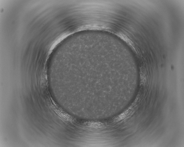 X0000058761070200510211652