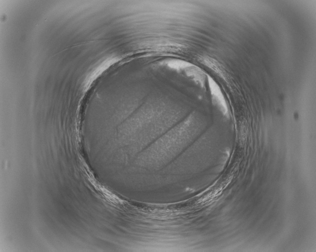 X0000058761071200510211652