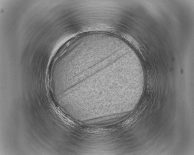 X0000058761072200510211652