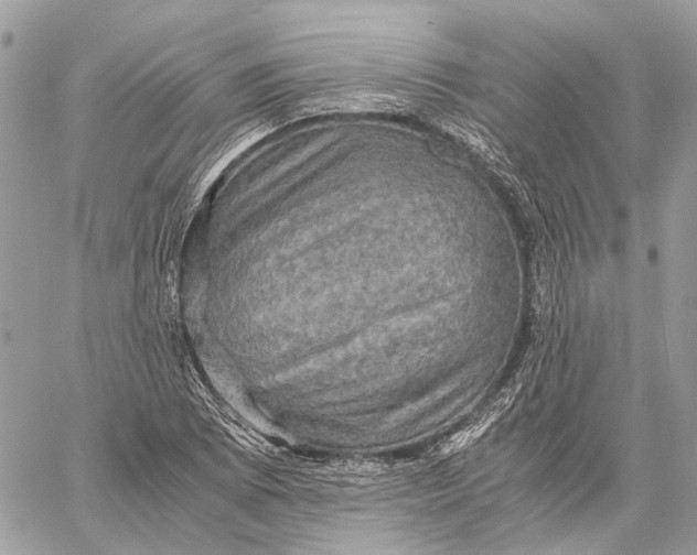 X0000058761073200510211652