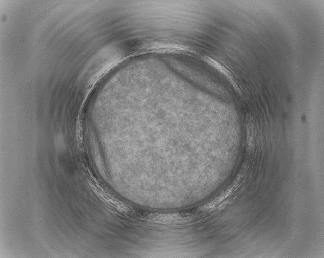 X0000058761074200510211652