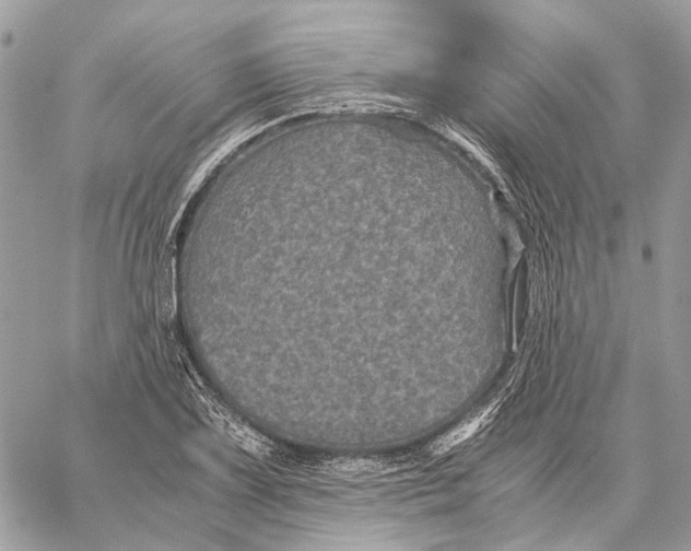 X0000058761075200510211652