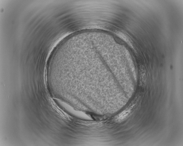 X0000058761076200510211652