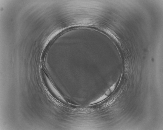 X0000058761077200510211652