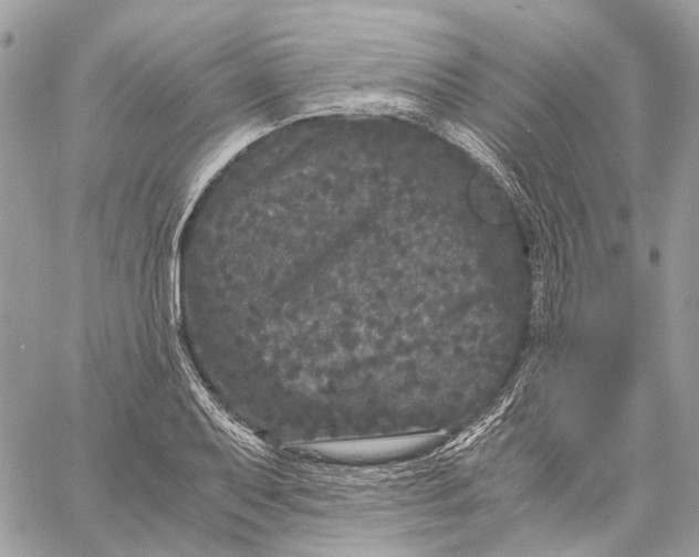 X0000058761079200510211652