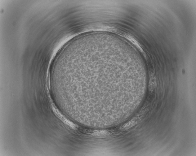 X0000058761080200510211652