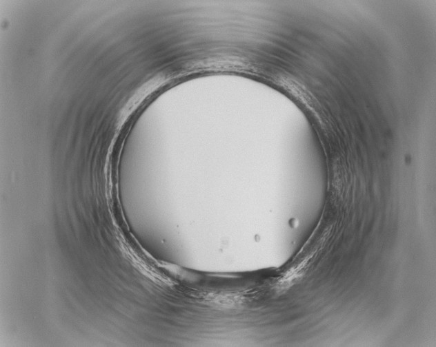 X0000058761082200510211651