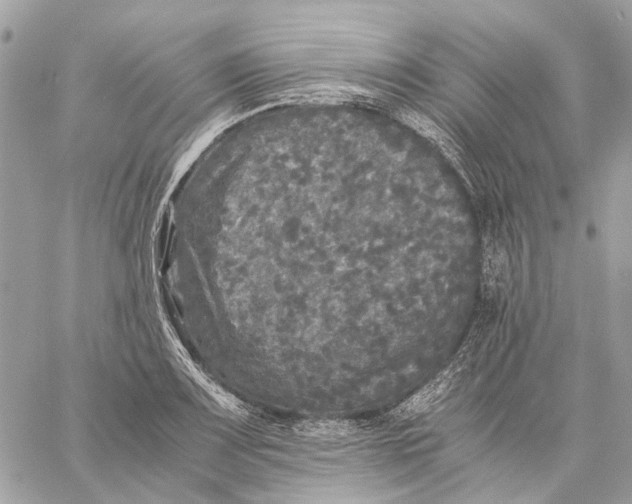 X0000058761083200510211651