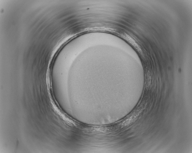 X0000058761084200510211651