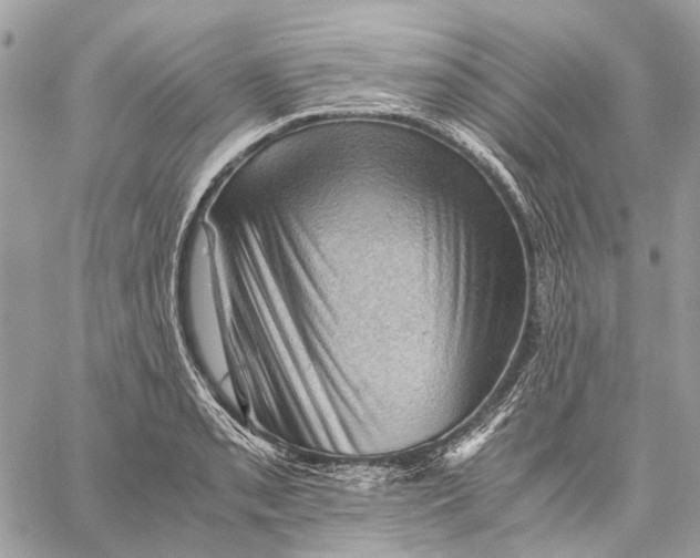 X0000058761085200510211651