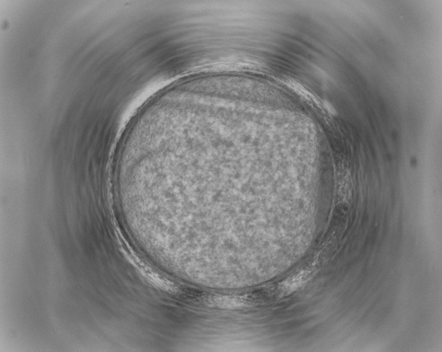 X0000058761086200510211651