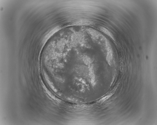 X0000058761087200510211651