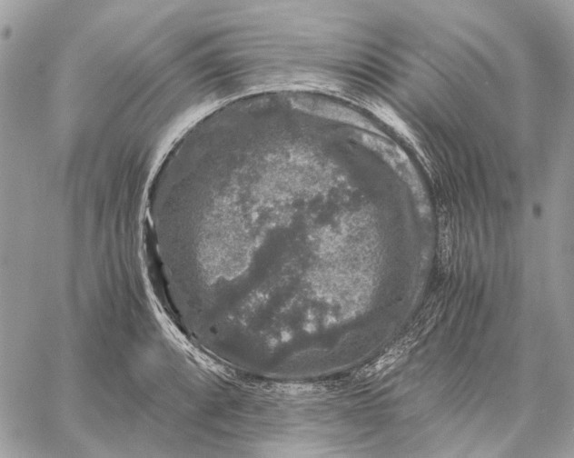 X0000058761088200510211651