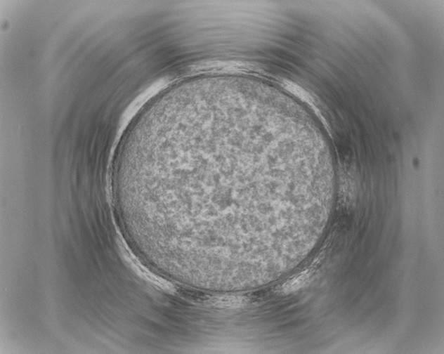 X0000058761090200510211651