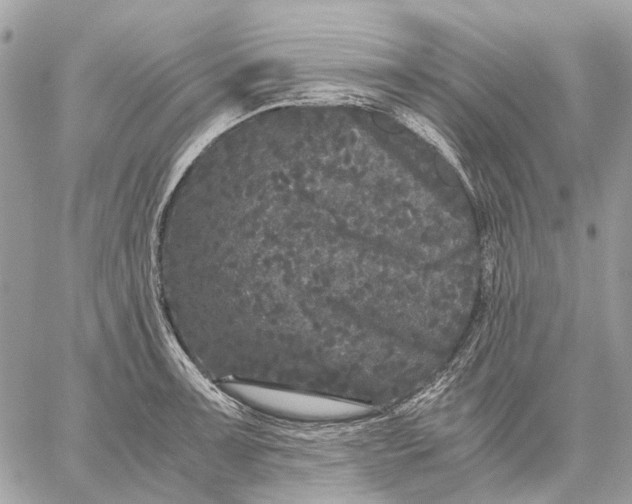 X0000058761091200510211651