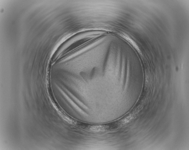 X0000058761093200510211651