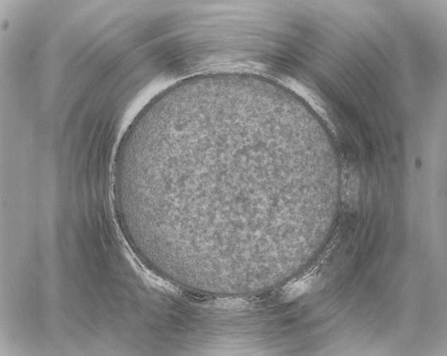 X0000058761094200510211651