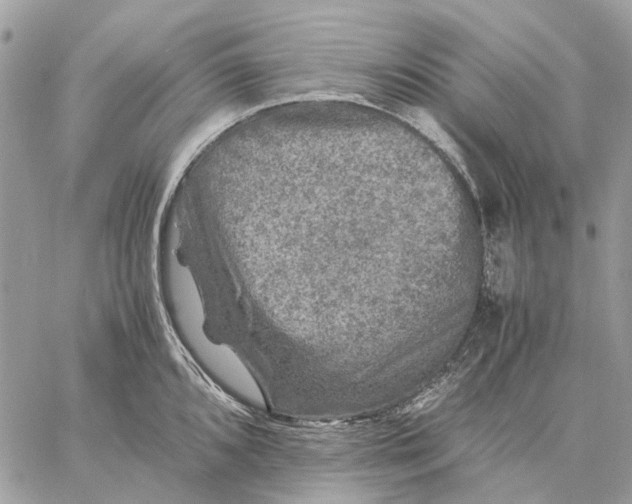 X0000058761096200510211651