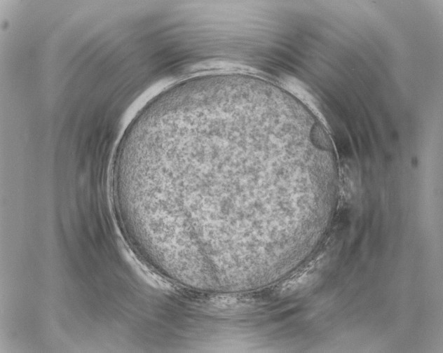 X0000058761098200510211651