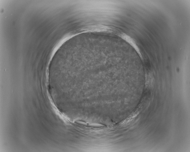 X0000058761099200510211651