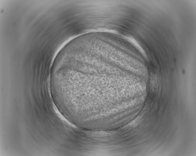 X0000058761100200510211651