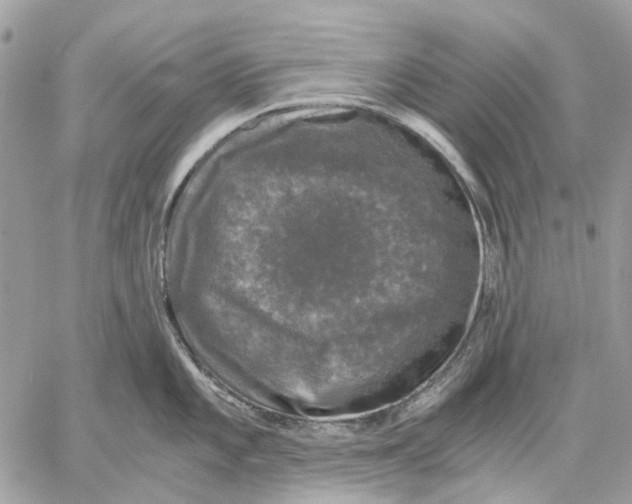 X0000058761101200510211651