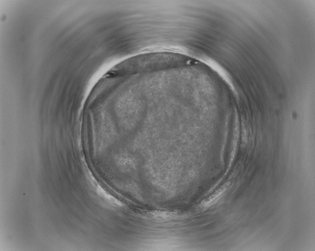 X0000058761102200510211651