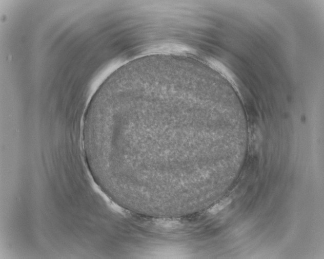 X0000058761103200510211651