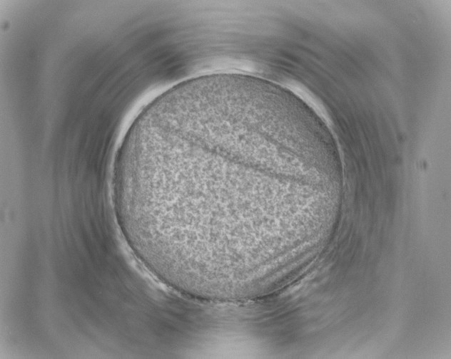 X0000058761104200510211651