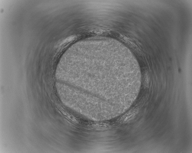 X0000058761105200510211650