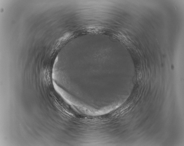 X0000058761106200510211650