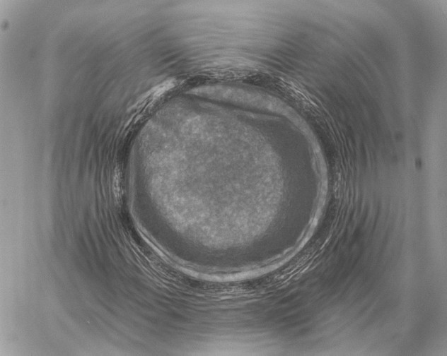 X0000058761108200510211650