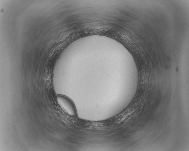 X0000058761109200510211650