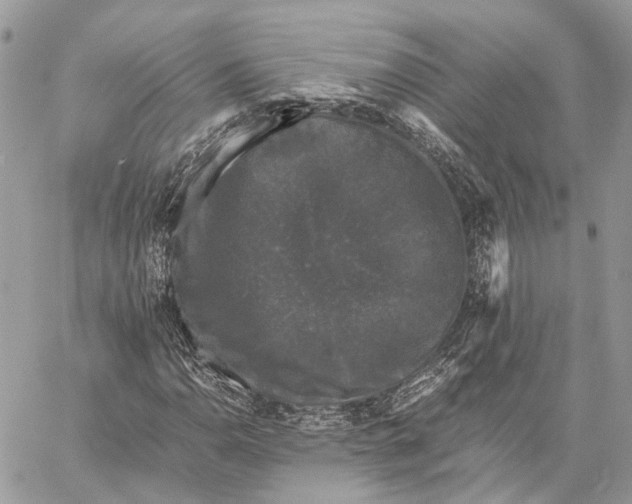 X0000058761110200510211650