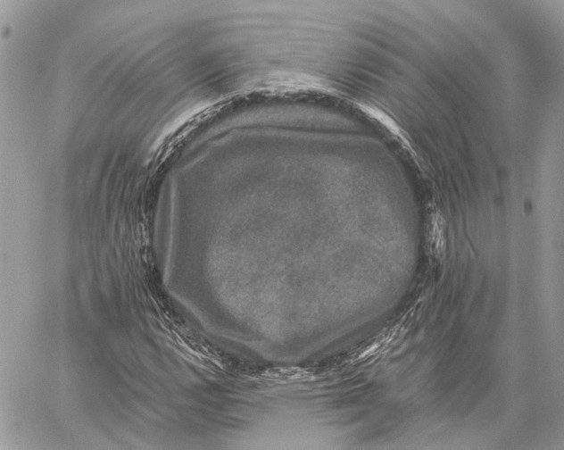 X0000058761112200510211650