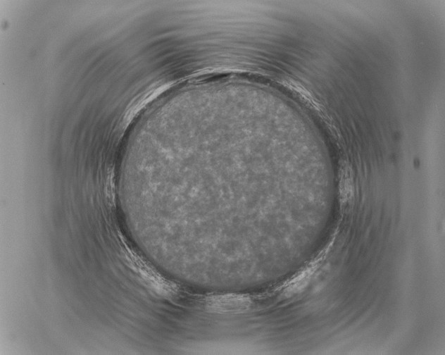 X0000058761113200510211650