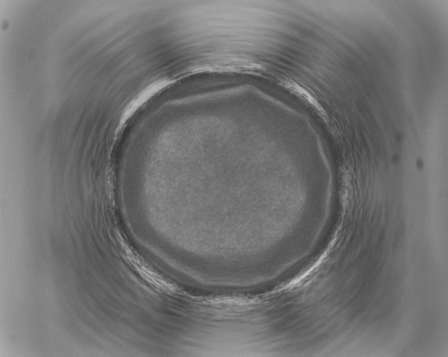 X0000058761114200510211651