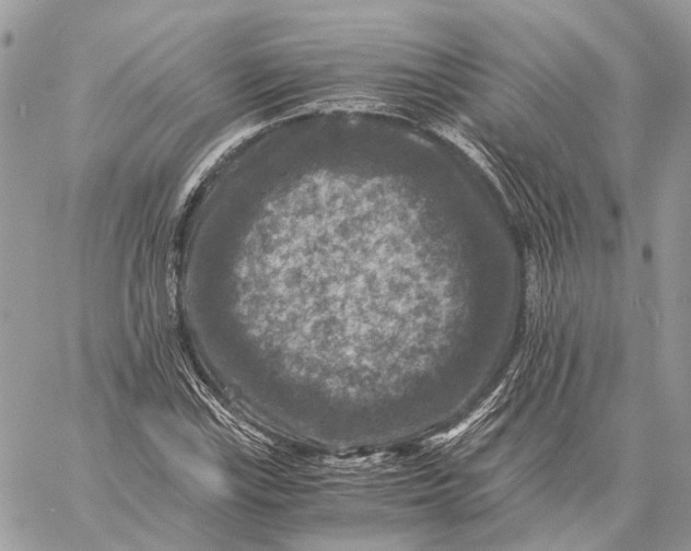 X0000058761115200510211651