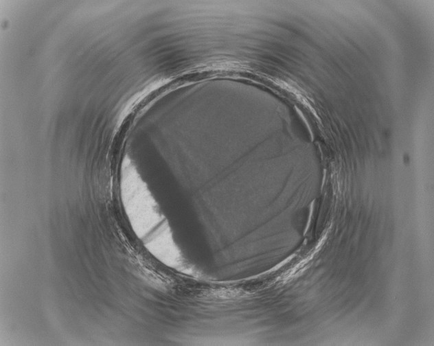 X0000058761117200510211651