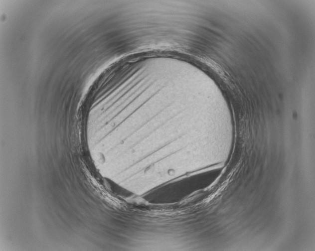 X0000058761118200510211651