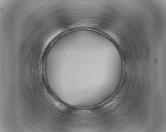 X0000058761119200510211651