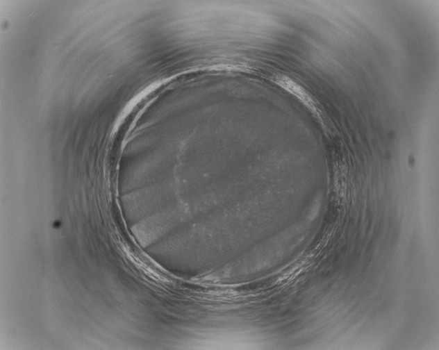 X0000058761120200510211651