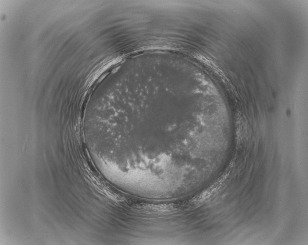 X0000058761121200510211651